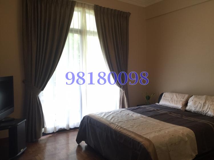 Tanglin Park (D10), Condominium #98292682